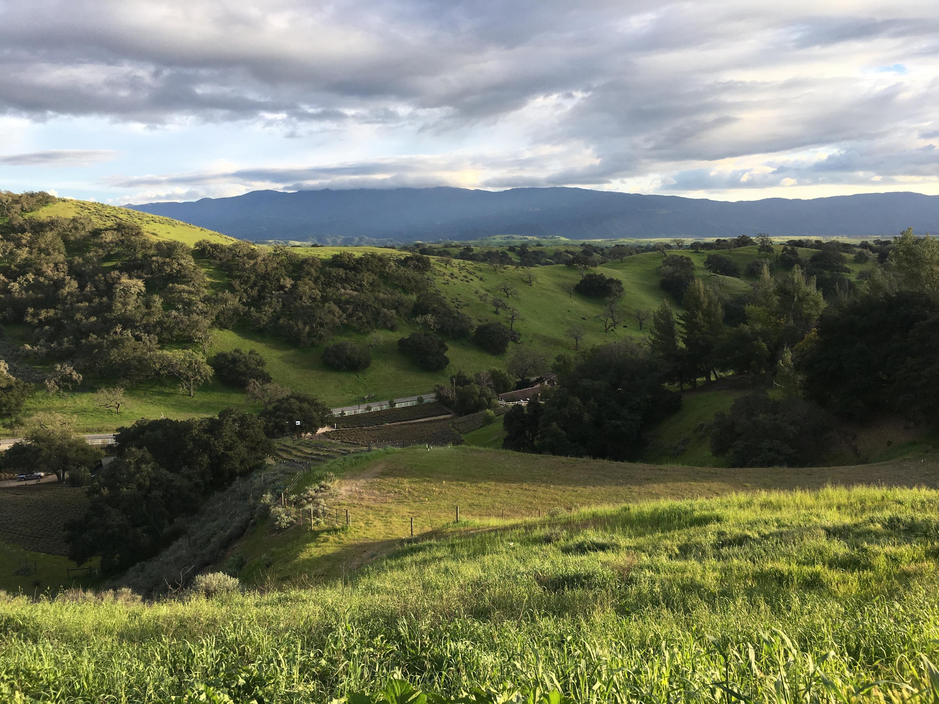 3085 Short Road Santa Ynez, CA 93460 - Photo 23 of 29 IMG_1726 (1)