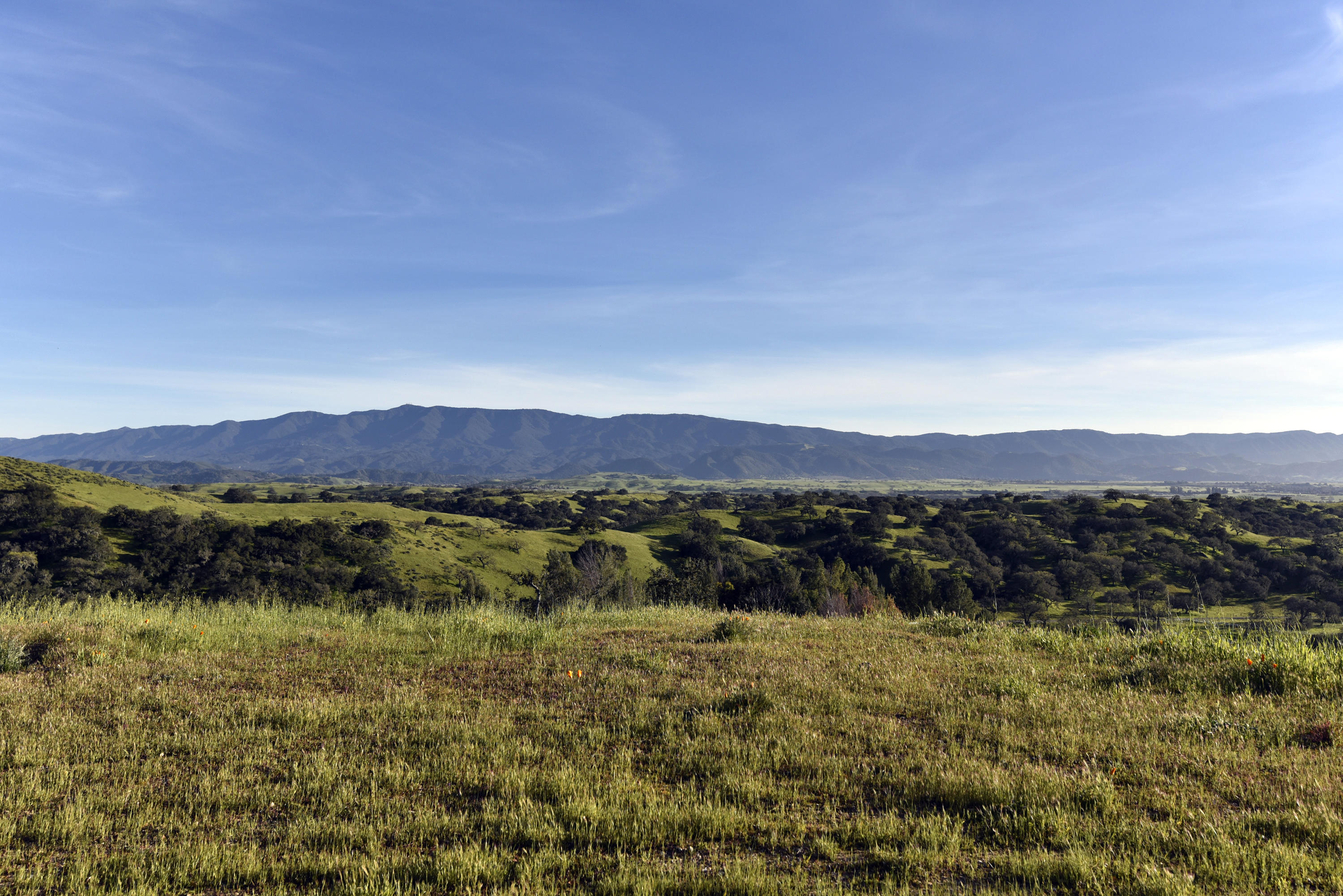 3085 Short Road Santa Ynez, CA 93460 - Photo 29 of 29 _TOM3556