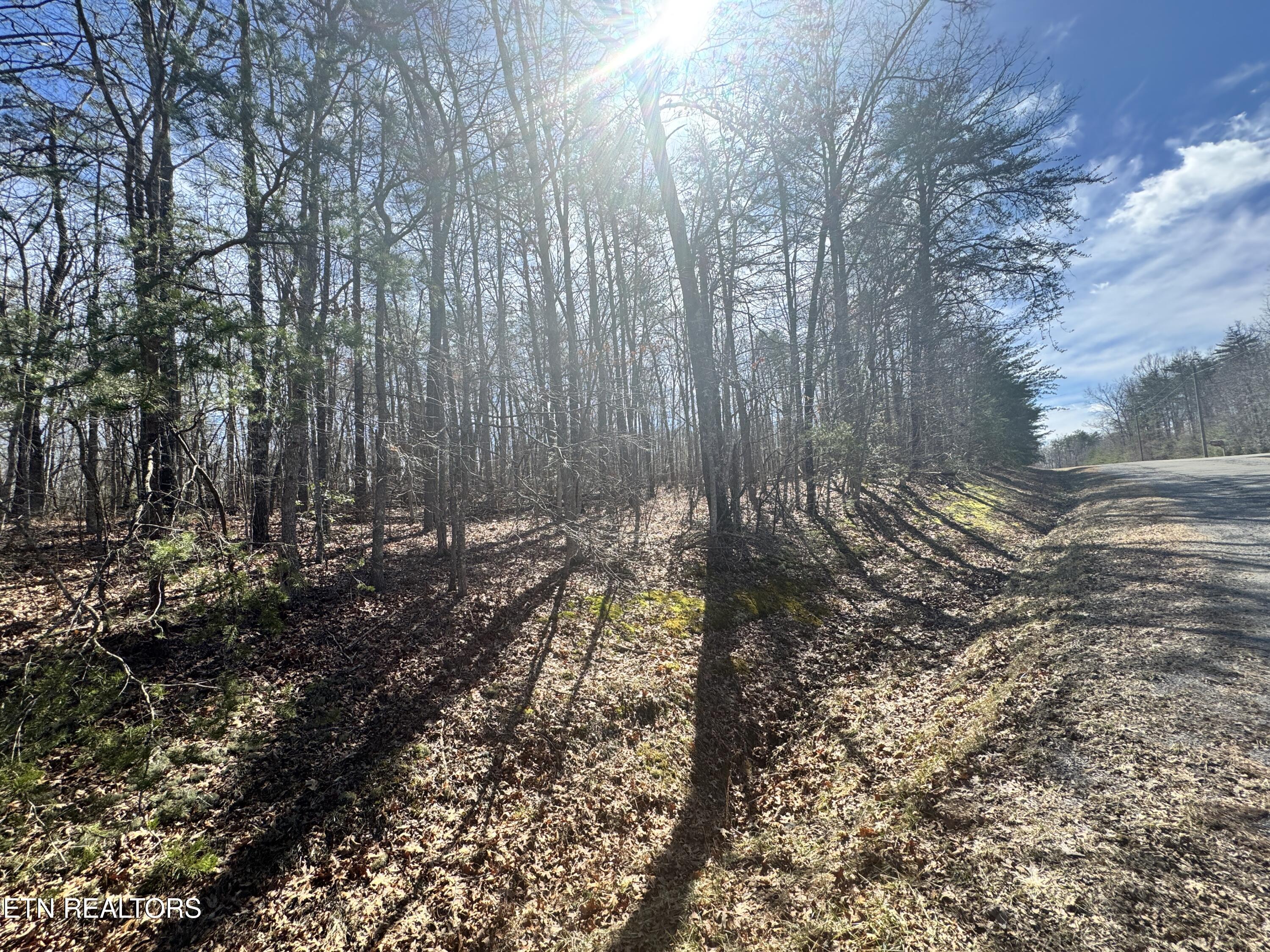 North Laurel Loop Monterey, TN 38574 - Photo 5 of 7 Photo Feb 27 2025, 11 57 03