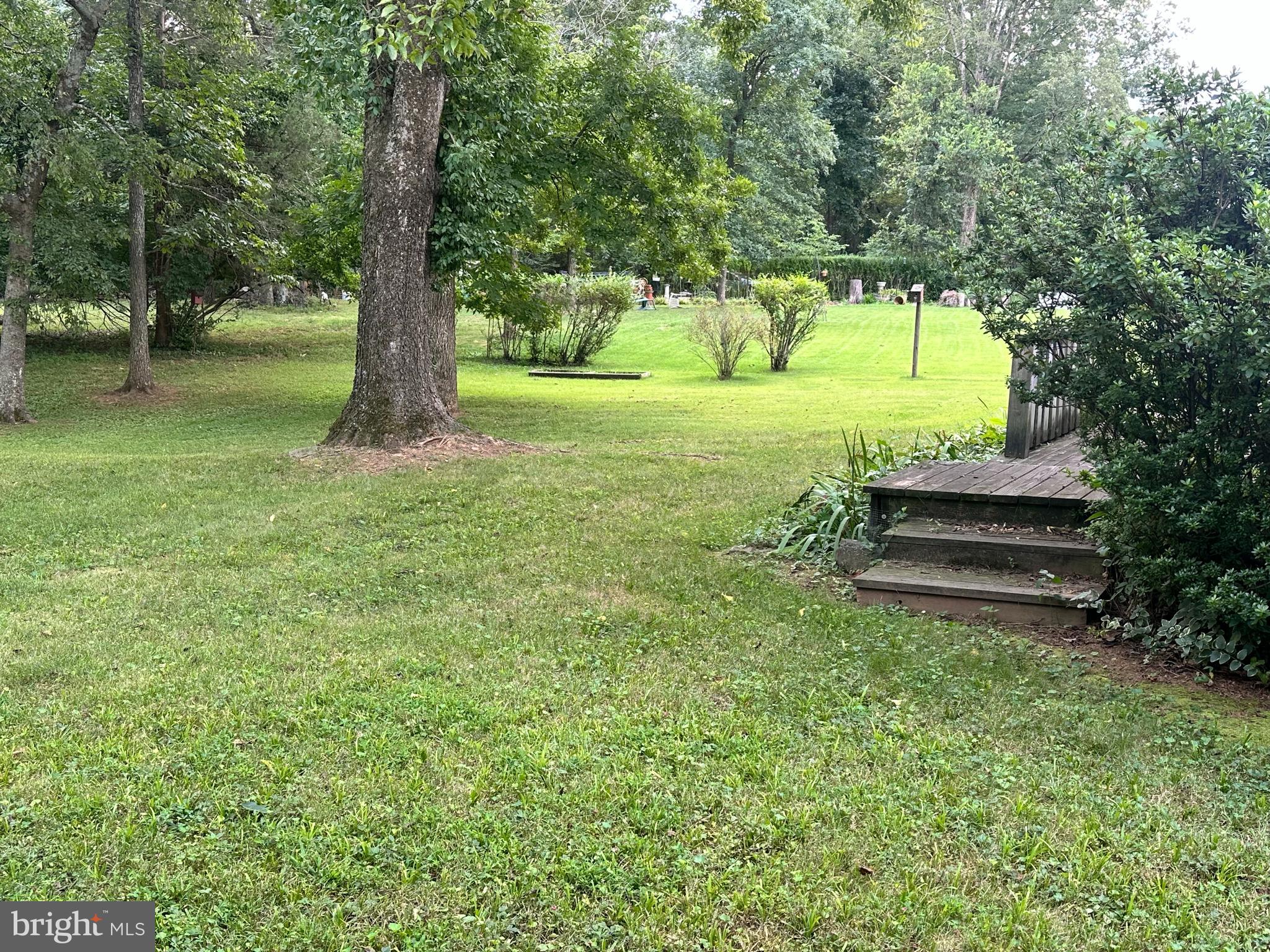 7374 Roxbury Avenue Manassas, VA 20109 - Photo 36 of 42 a view of a garden with trees