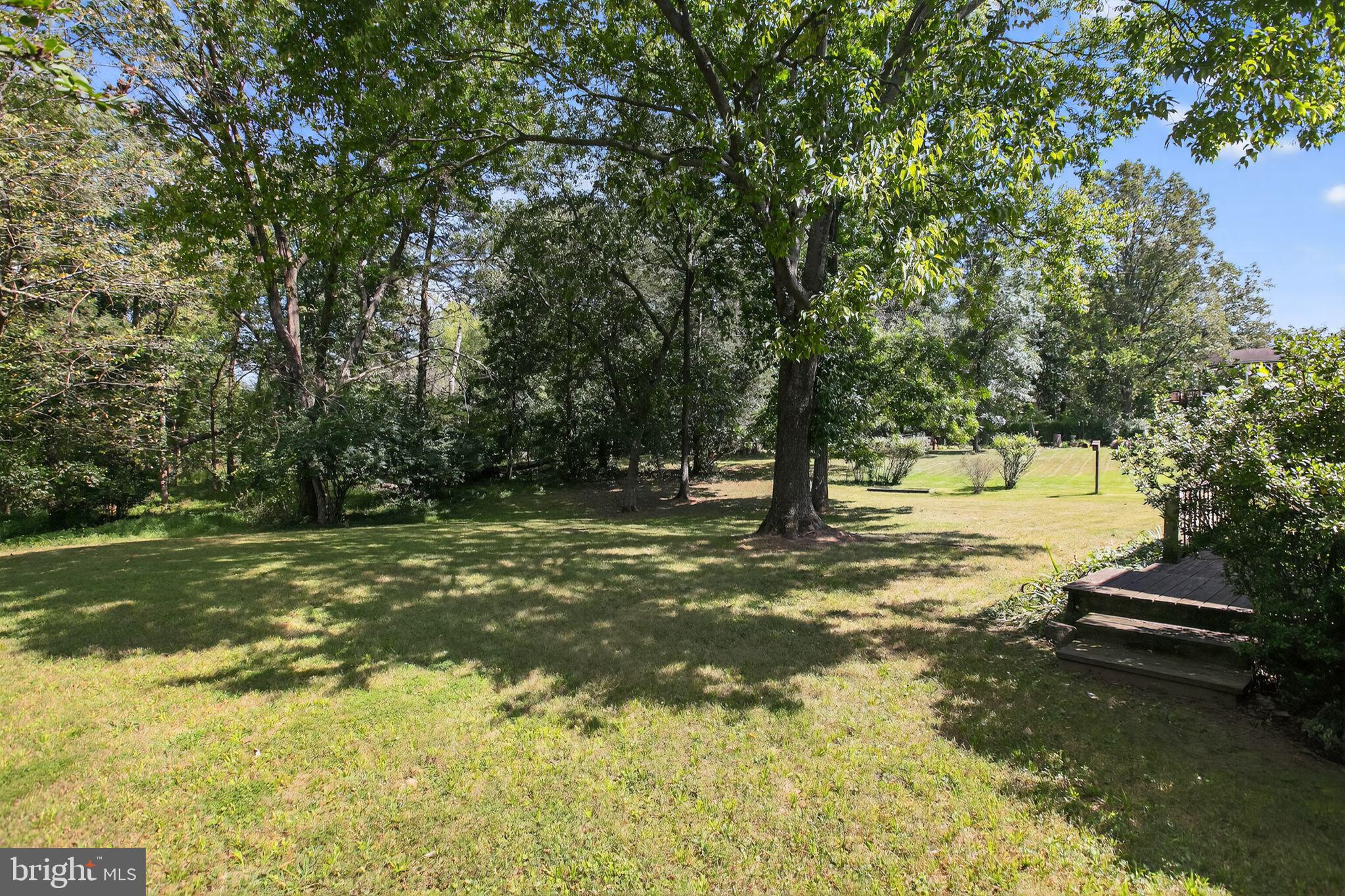 7374 Roxbury Avenue Manassas, VA 20109 - Photo 38 of 42 a view of a trees with a yard