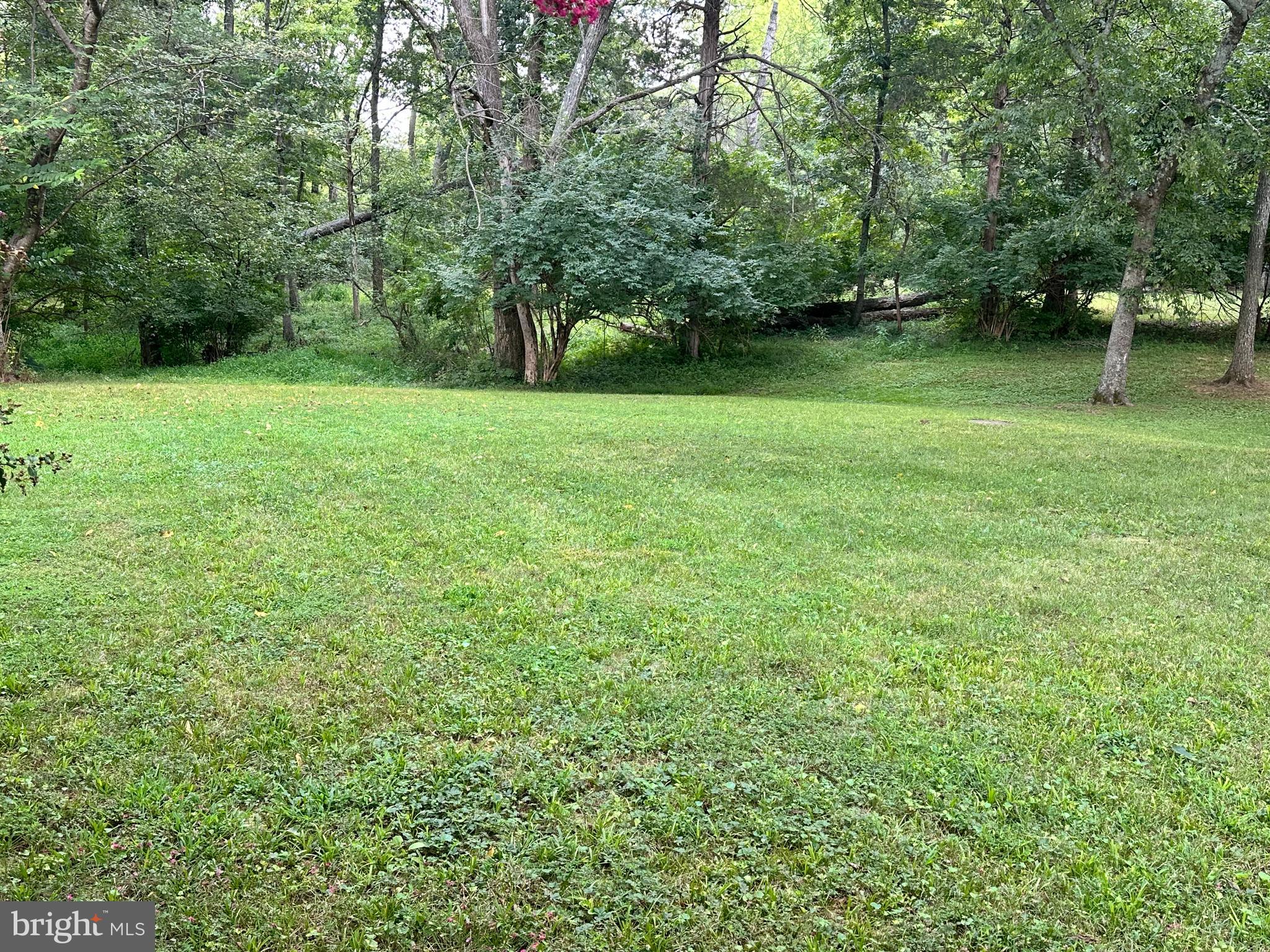 7374 Roxbury Avenue Manassas, VA 20109 - Photo 42 of 42 a view of green field with trees in the background