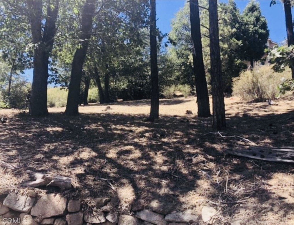 508 Redwood Road Cedar Glen, CA 92321 - Photo 4 of 12 a view of a tree in the middle of a yard