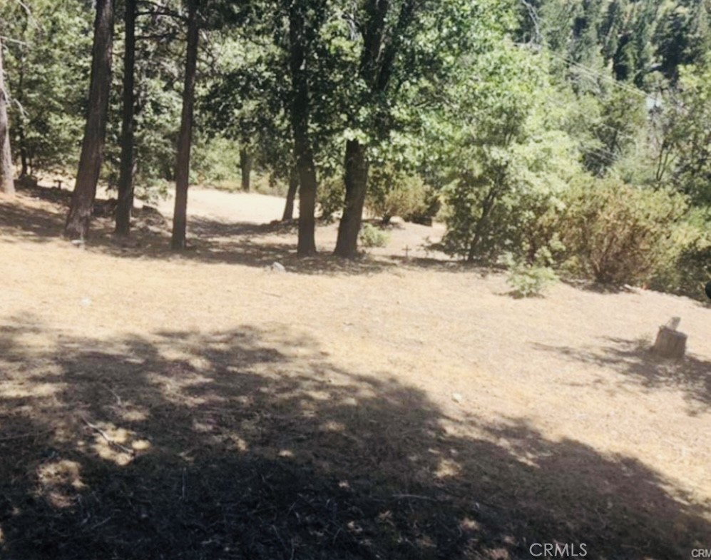 508 Redwood Road Cedar Glen, CA 92321 - Photo 5 of 12 a view of road with trees