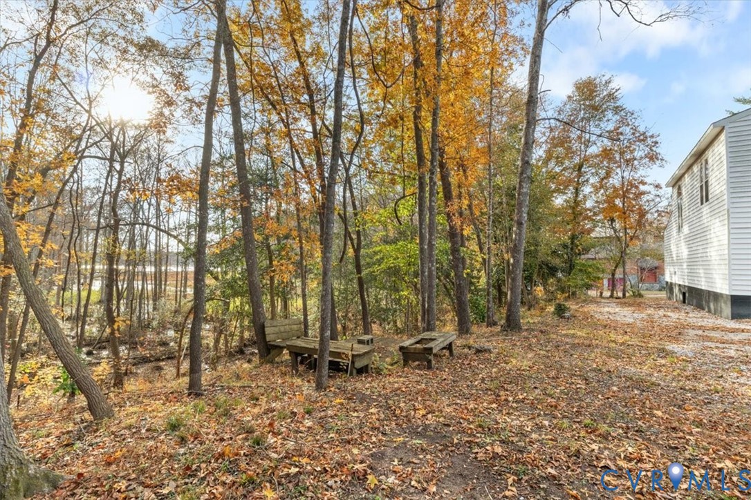 517 West Riverside Drive Lanexa, VA 23089 - Photo 29 of 31 a view of a backyard with large trees
