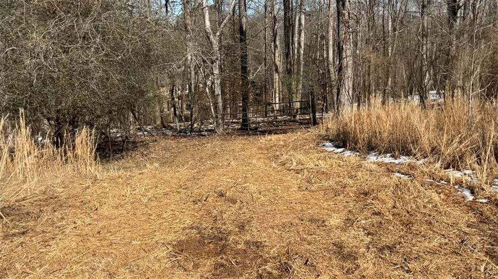 0 Bailey Mill Road Gainesville, GA 30506 - Photo 2 of 5 a view of a backyard of the house