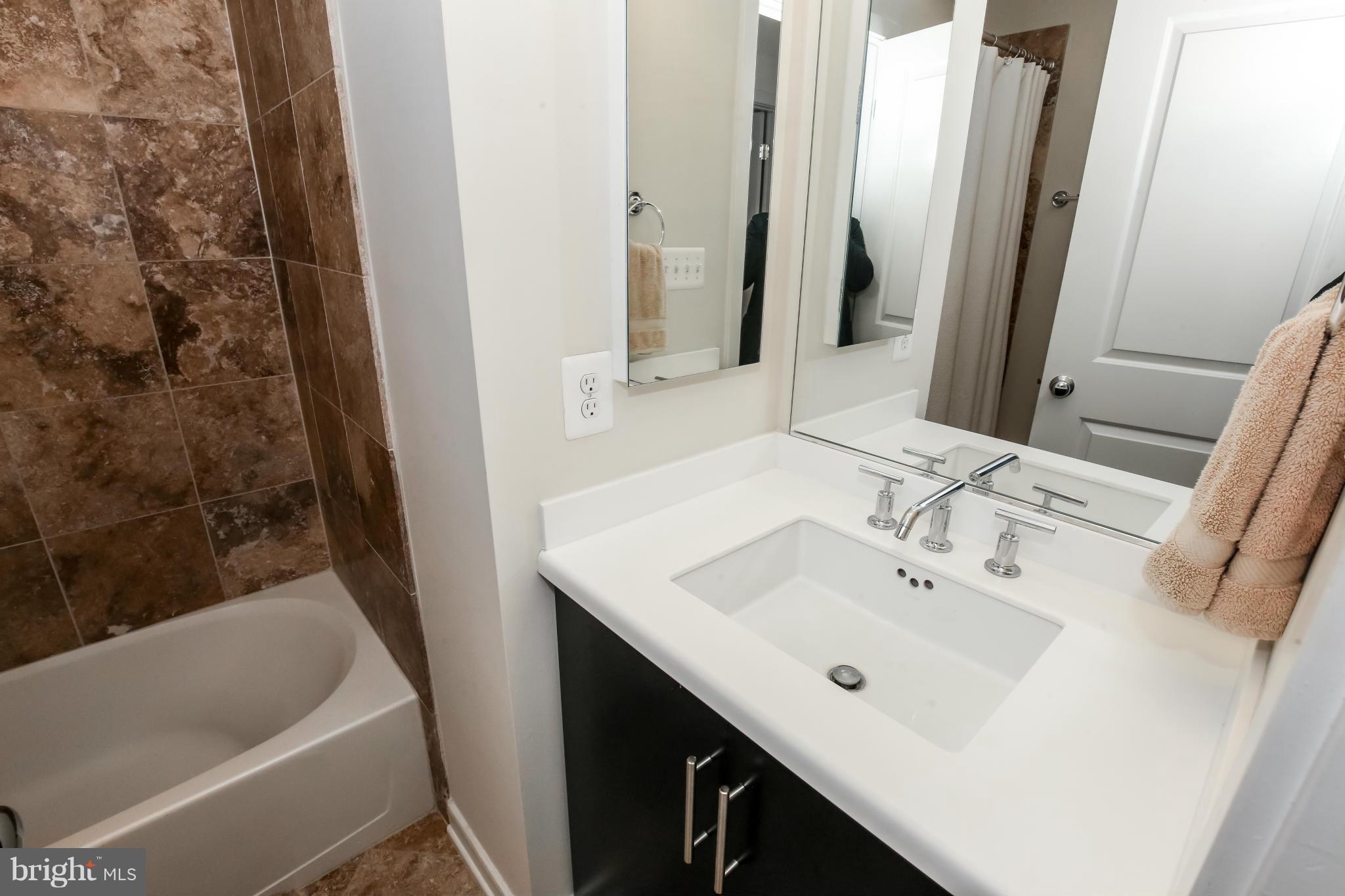 312 L Street Southeast Washington, DC 20003 - Photo 20 of 29 a bathroom with a sink and a bathtub