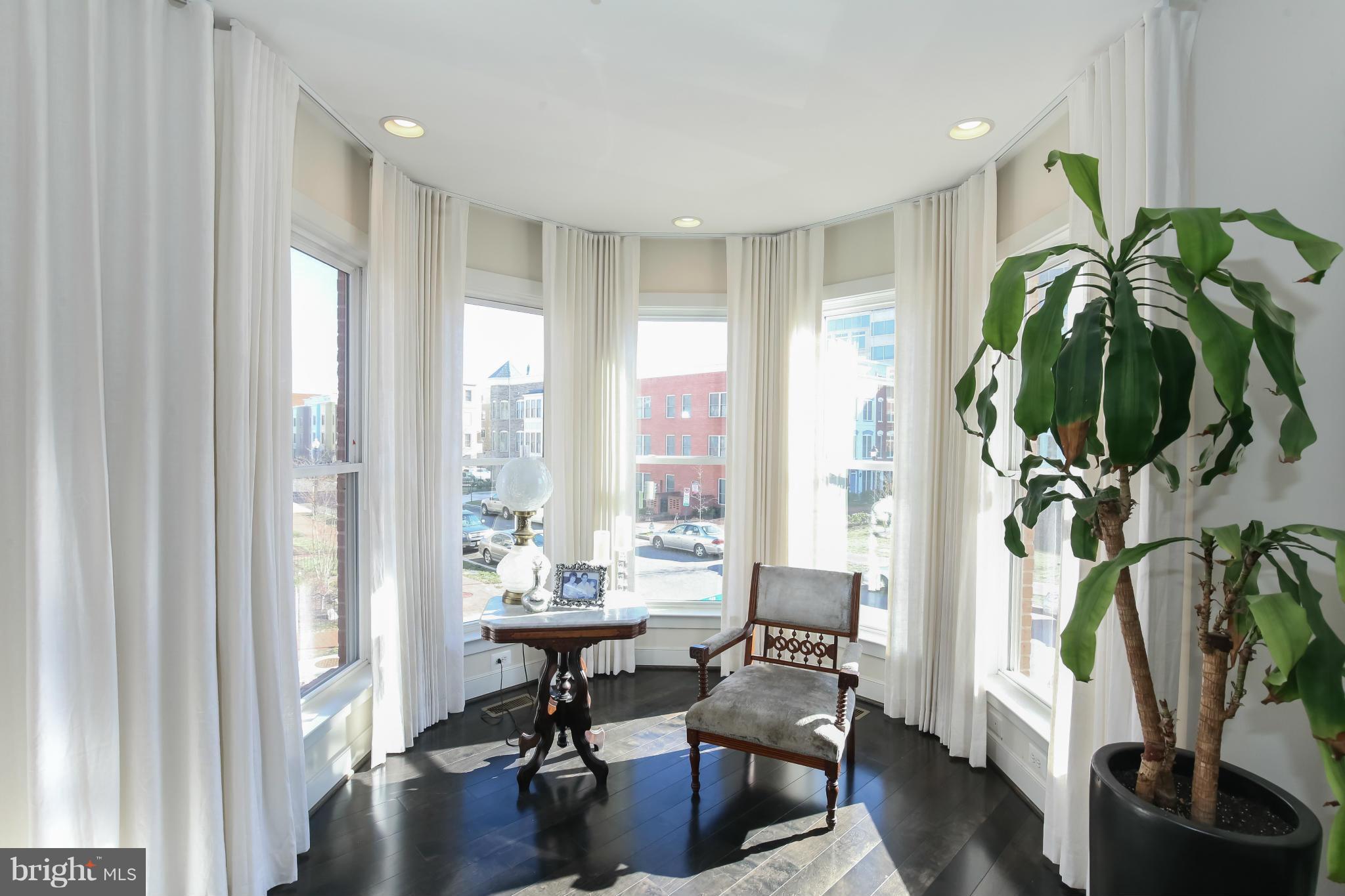 312 L Street Southeast Washington, DC 20003 - Photo 7 of 29 a living room filled with furniture and a potted plant