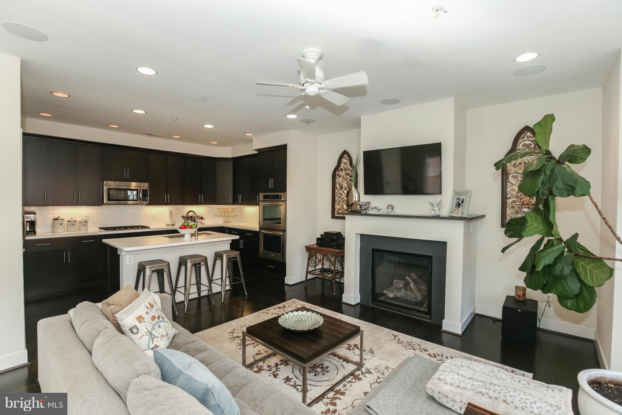 312 L Street Southeast Washington, DC 20003 - Photo 9 of 29 a living room with furniture a fireplace and a flat screen tv