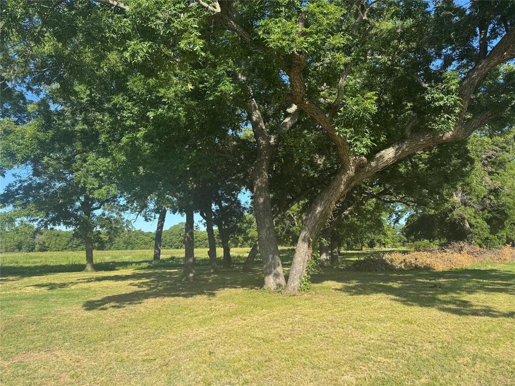 377 Private Road 3249, Unit ARENA Decatur, TX 76234 - Photo 36 of 40 a view of a yard with a tree