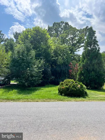 a view of a house with backyard and tree