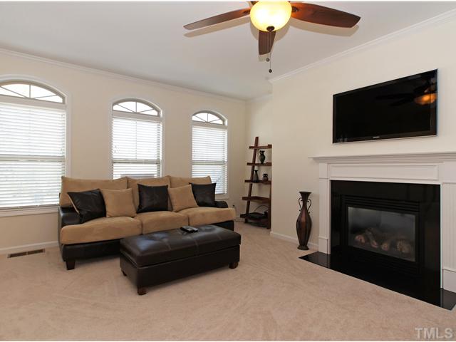 COZY FIREPLACE AND PLENTY OF NATURAL LIGHT!