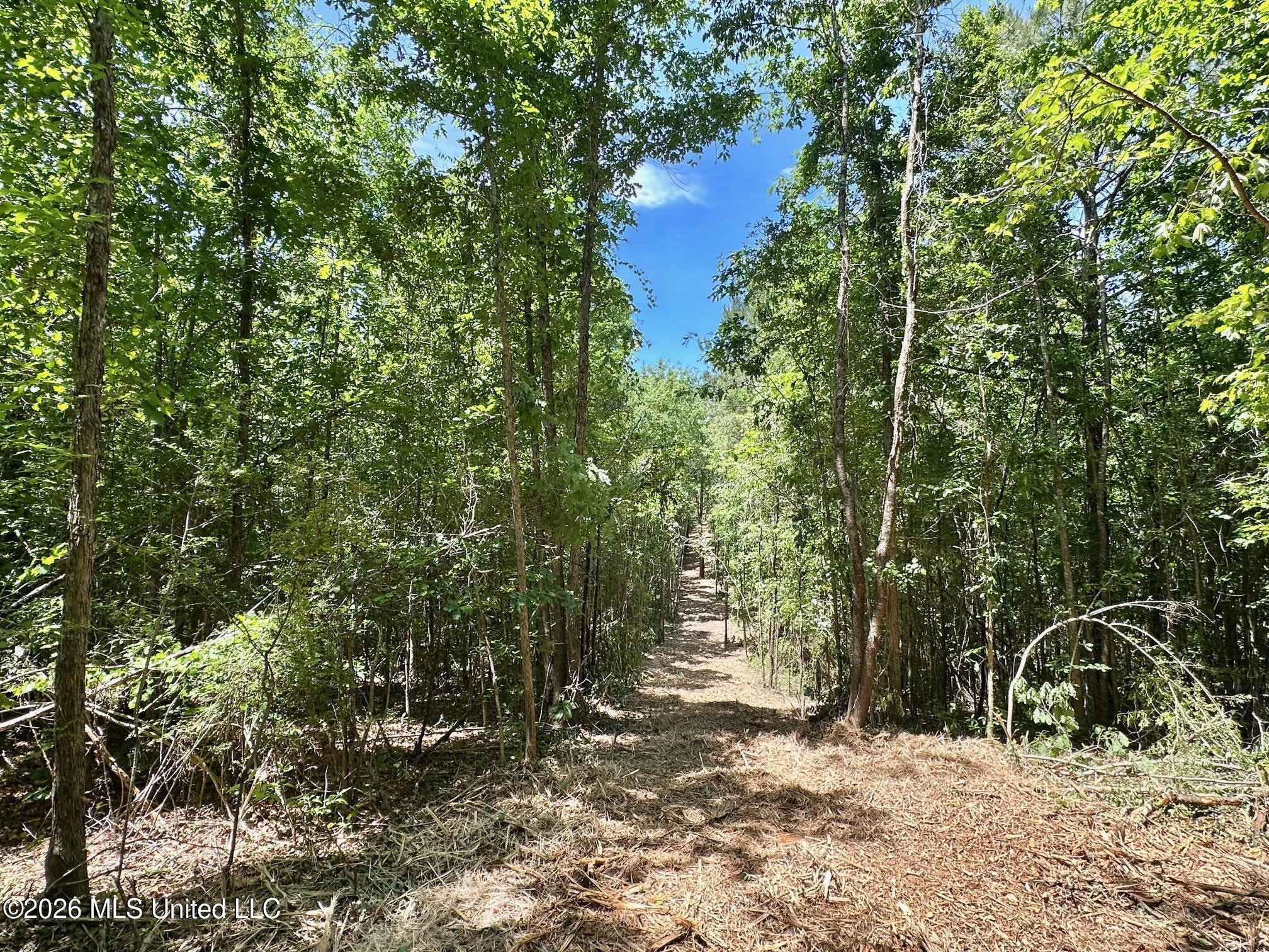 0 Mcnair Springs Road Magee, MS 39111 - Photo 12 of 25 12