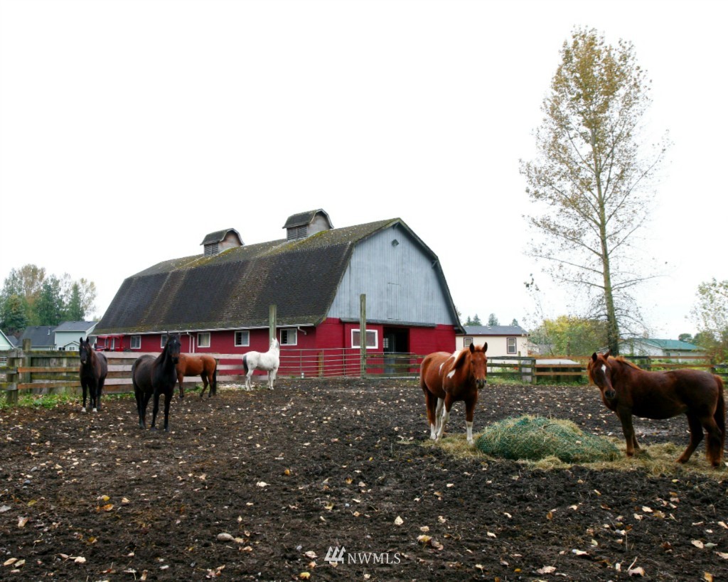 4322 Jones Road Sumas, WA 98295 - Photo 16 of 25