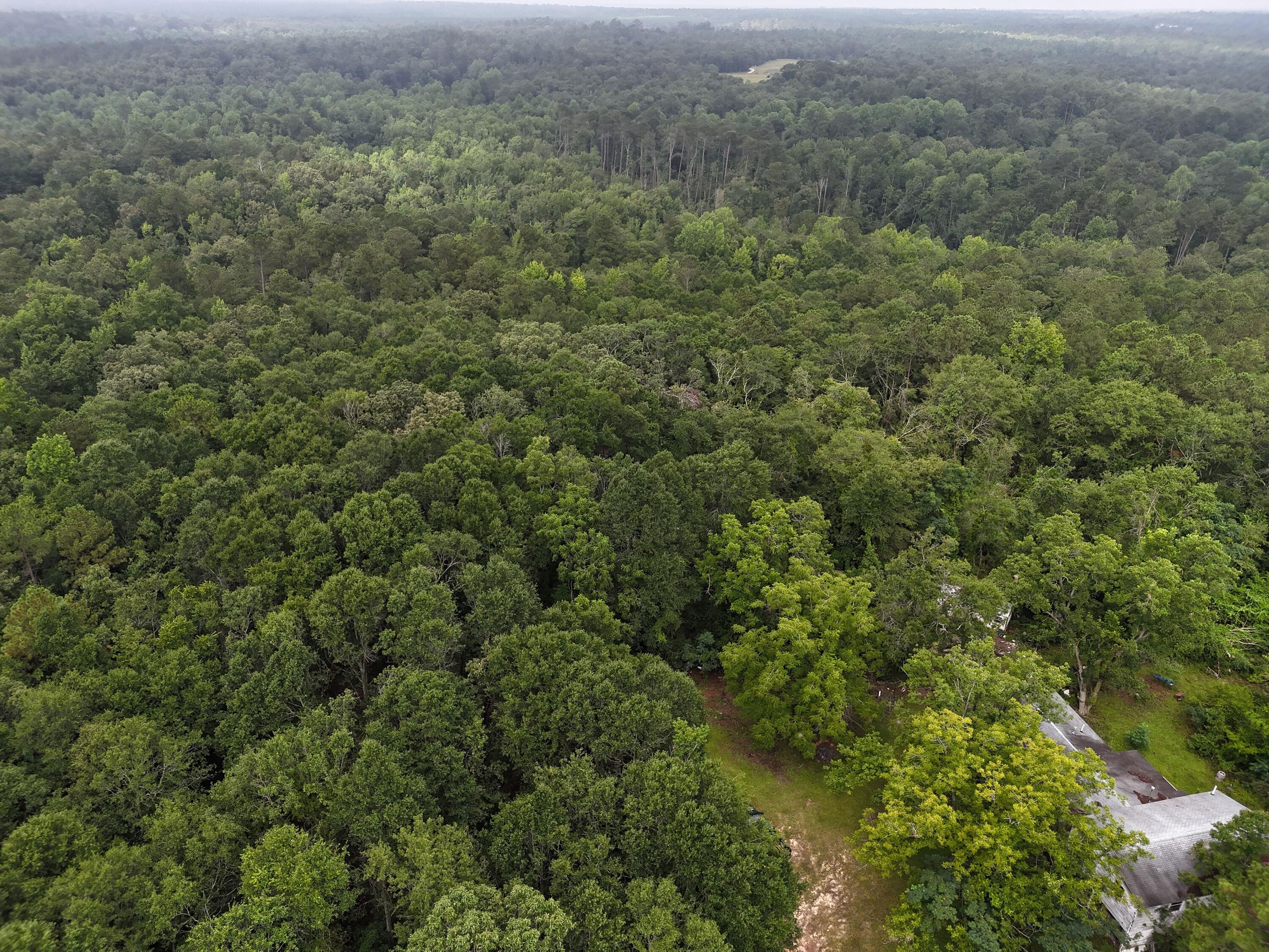 4717 Fulcher Road Hephzibah, GA 30815 - Photo 8 of 15 DJI_20250710221820_0117_D