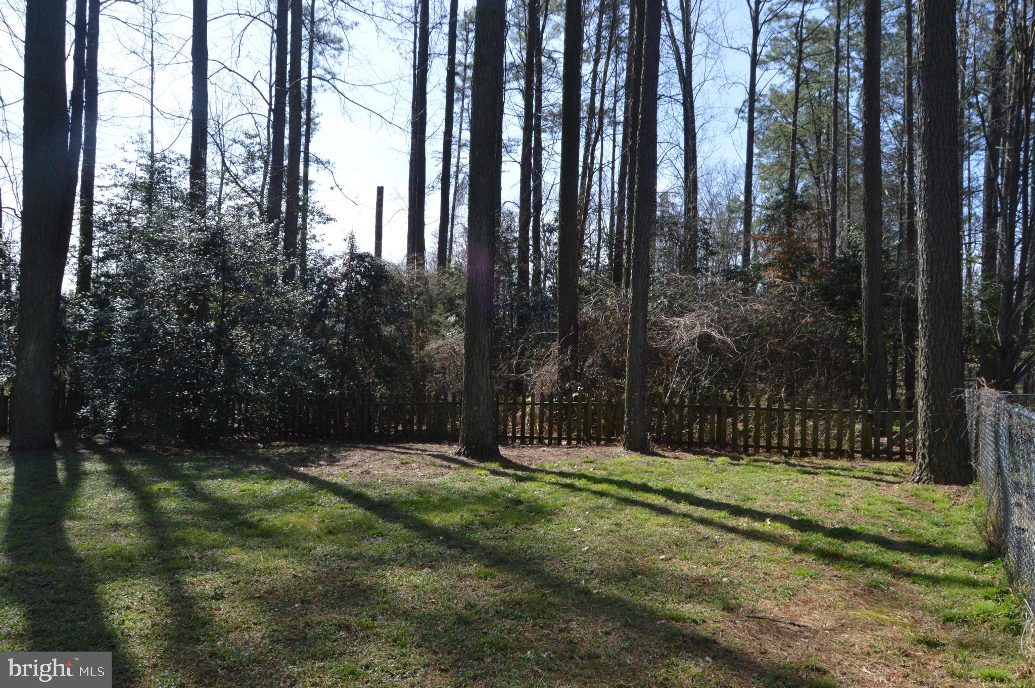 12232 Birkdale Road Ruther Glen, VA 22546 - Photo 21 of 24 Back yard