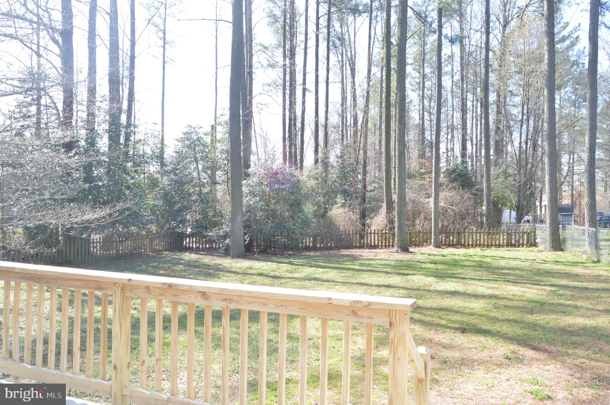 12232 Birkdale Road Ruther Glen, VA 22546 - Photo 22 of 24 Deck View