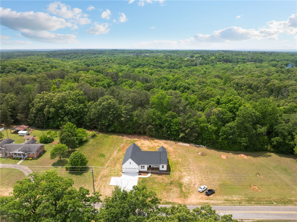 1735 Maw Bridge Road Central, SC 29630 - Photo 37 of 38 Perched on an expansive lot, this newly built home offers picturesque views of the surrounding natural landscape.