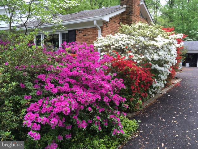 8905 Burke Road Burke, VA 22015 - Photo 27 of 30 Exterior (General)