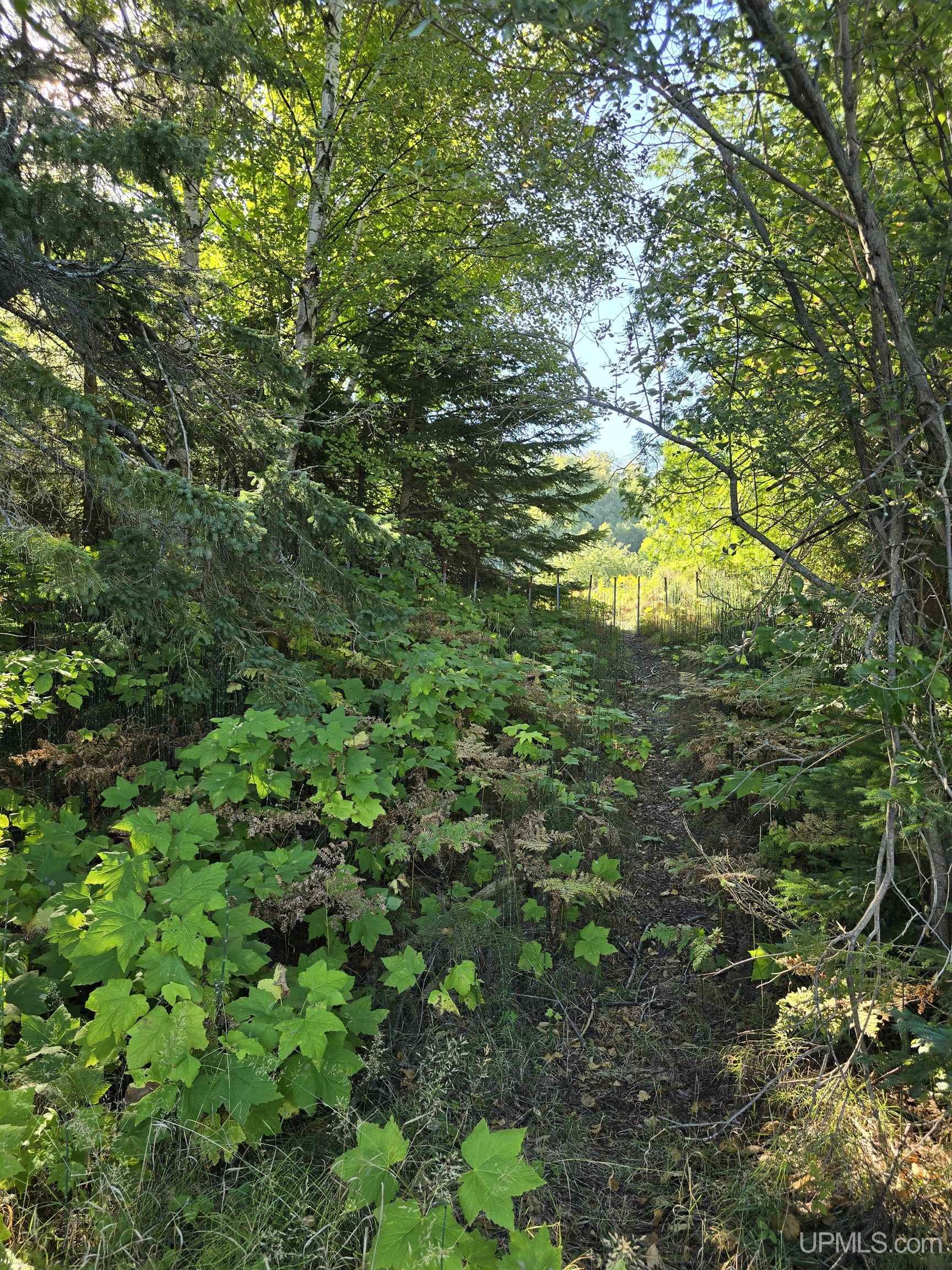 9 Redridge Creek Road Atlantic Mine, MI 49905 - Photo 15 of 27