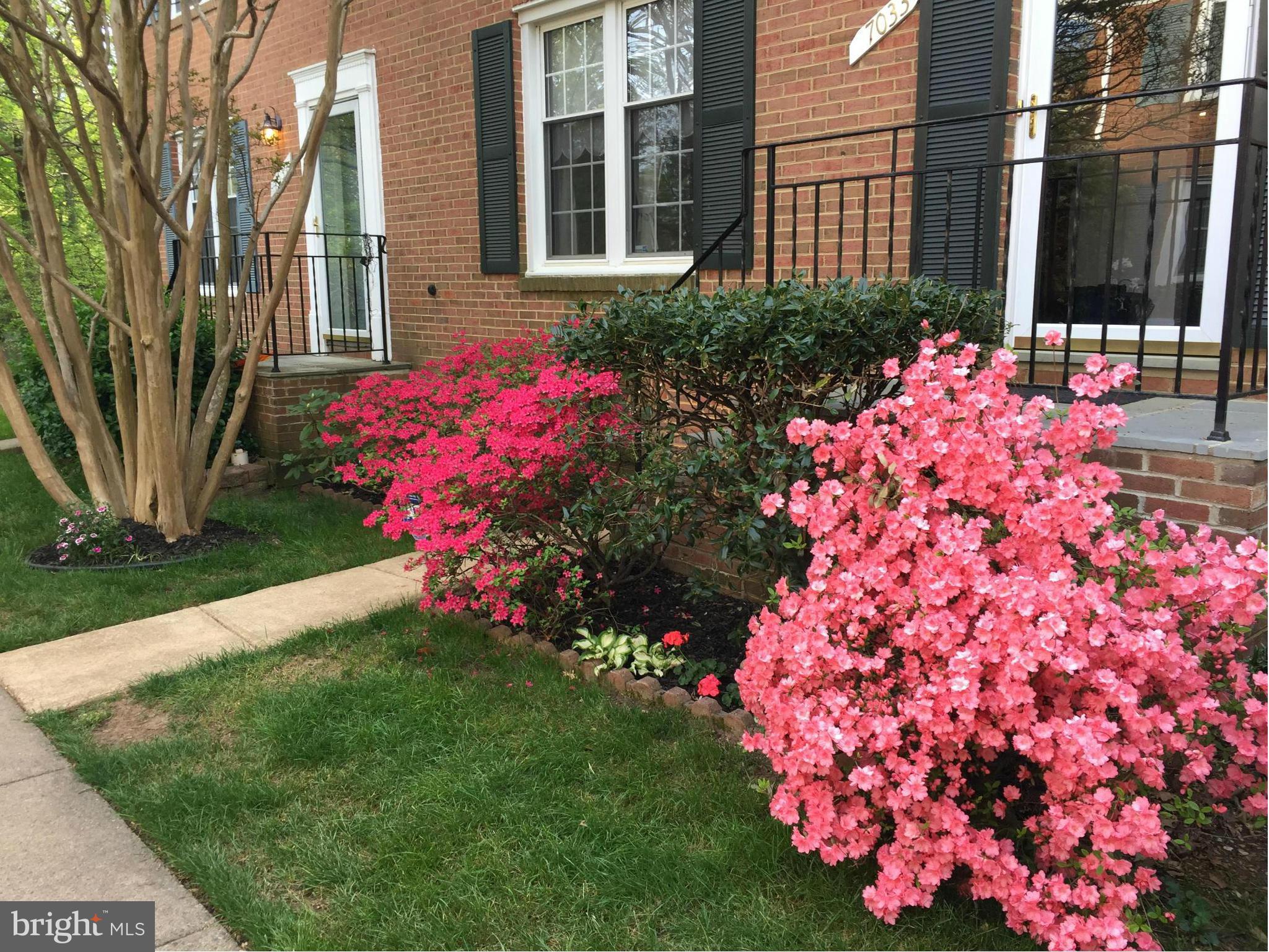 7033 Leestone Street Springfield, VA 22151 - Photo 2 of 25 FRONT IN SPRING
