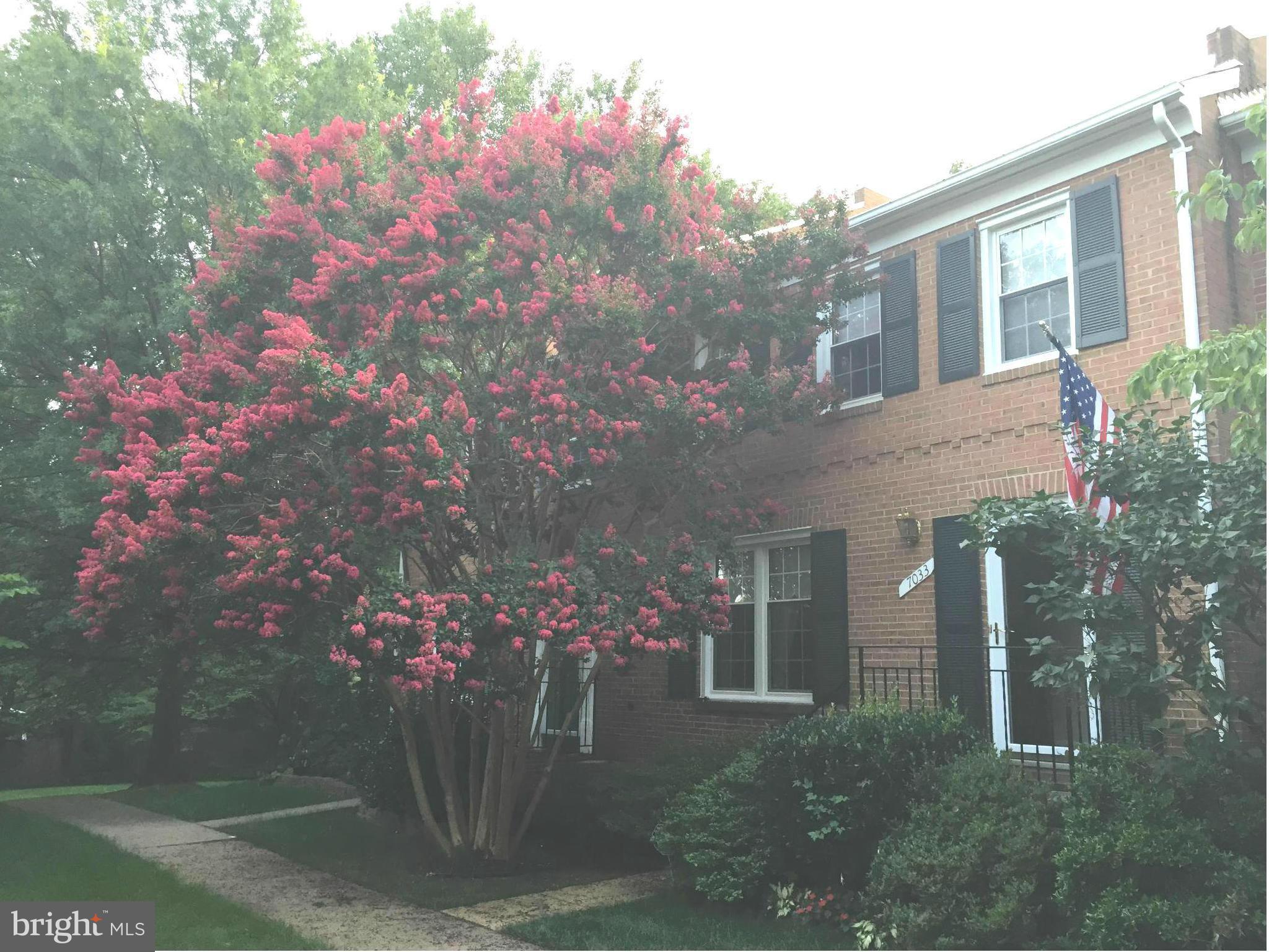7033 Leestone Street Springfield, VA 22151 - Photo 3 of 25 FRONT IN SUMMER