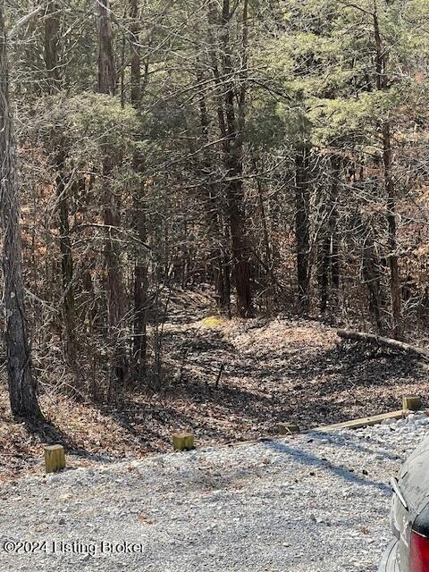 835 Sego Road Mount Eden, KY 40046 - Photo 22 of 27 image023