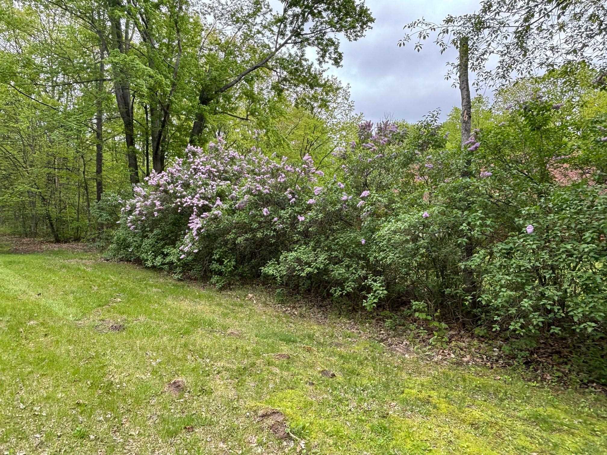 2913 West Howard Road Beaverton, MI 48612 - Photo 75 of 84