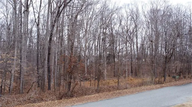 $59,900 | 0 Lacy Nichole Drive, Graham, NC 27253