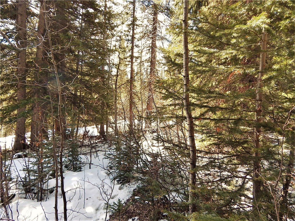 589 Mine Dump Road Alma, CO 80420 - Photo 21 of 26 Gallery Image 21