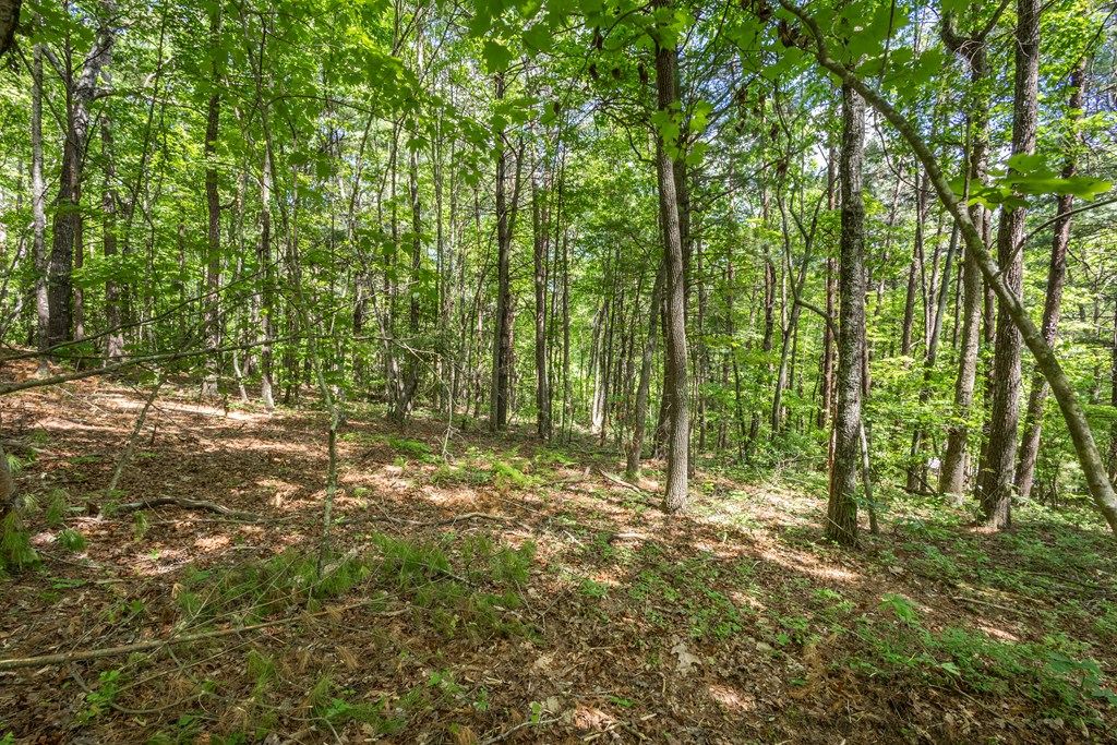 20-ac Pack Mountain Road Murphy, NC 28906 - Photo 15 of 20