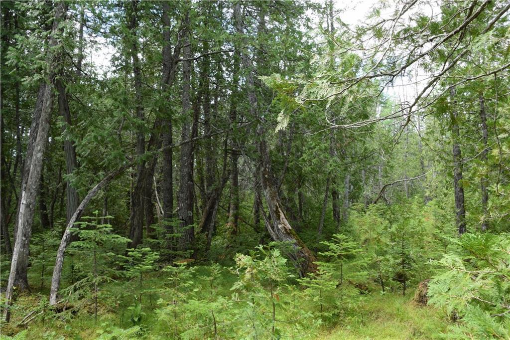 0 Jemtland Road Caribou, ME 04736 - Photo 6 of 17 Land