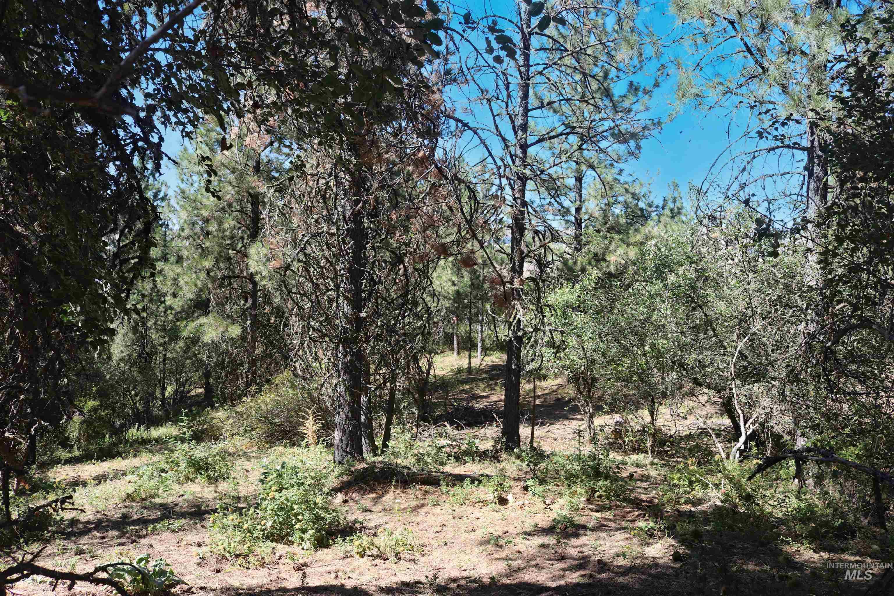37596 Eberhardt Road Lenore, ID 83541 - Photo 46 of 48