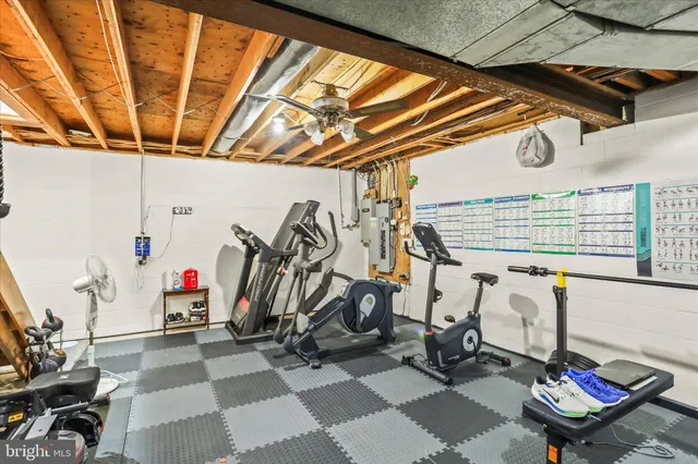 a backyard of a house with lots of trees