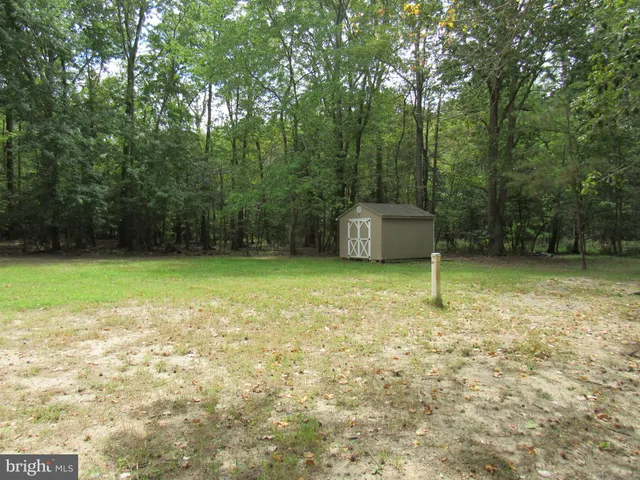 a view of a backyard with a trees