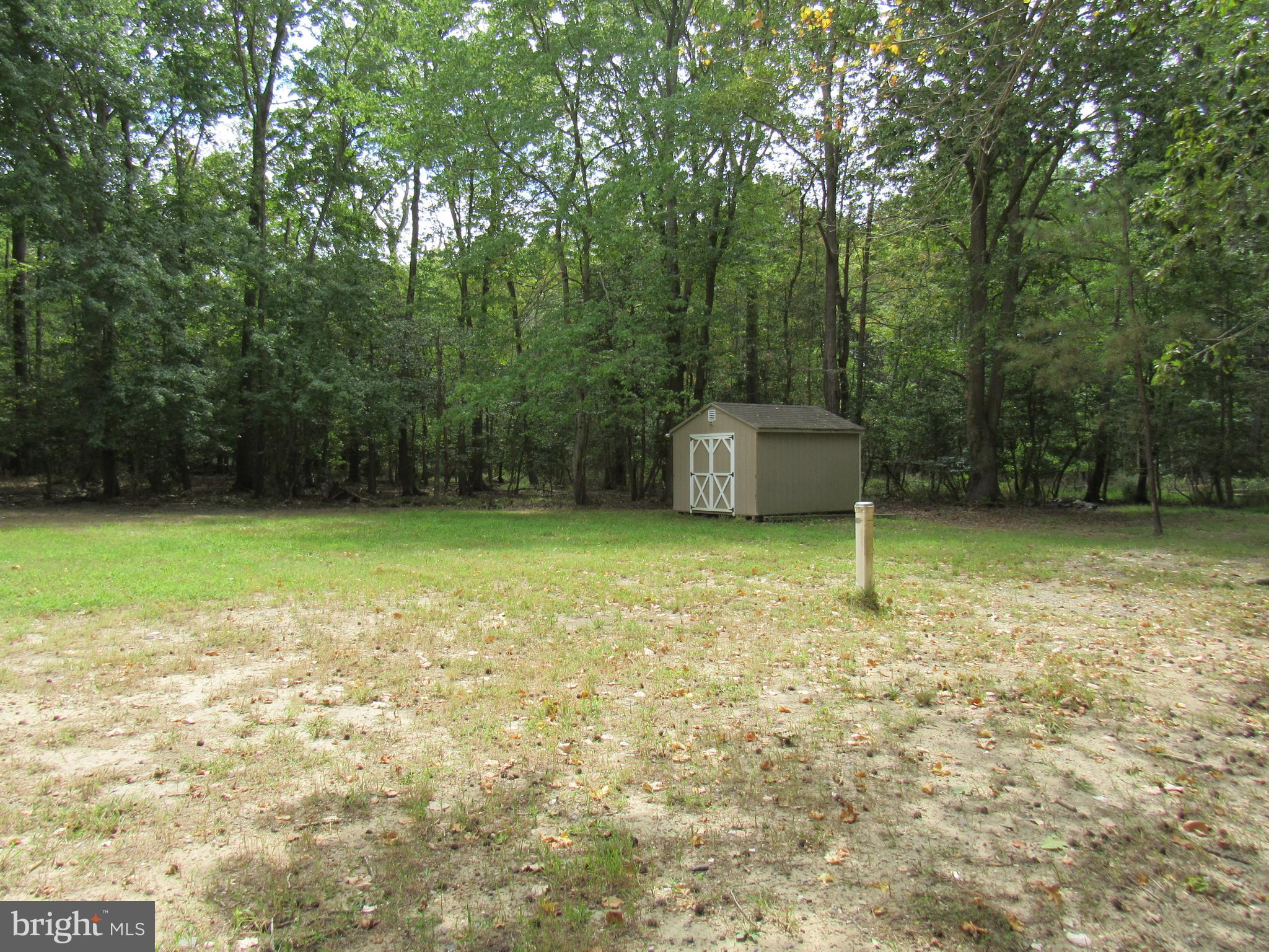 a view of a backyard with a trees