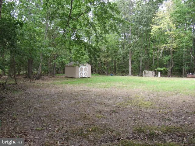 a view of a field with trees in the background