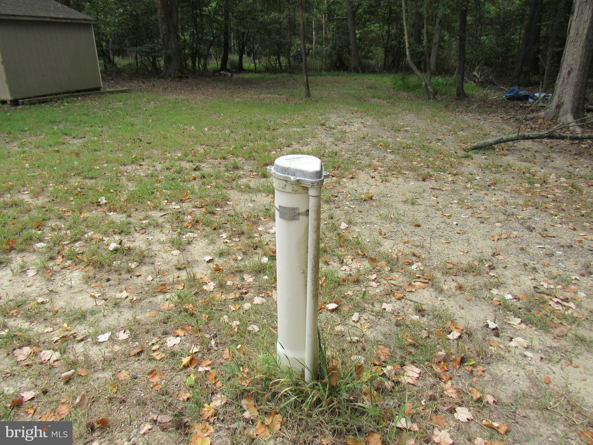 4420 Hooper Neck Road Taylors Island, MD 21669 - Photo 6 of 10