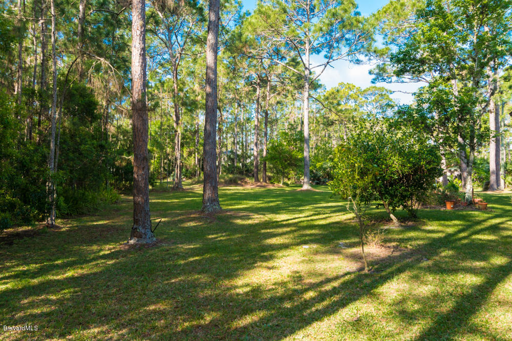 4106 Hield Road Northwest Palm Bay, FL 32907 - Photo 29 of 33 med-27.jpg