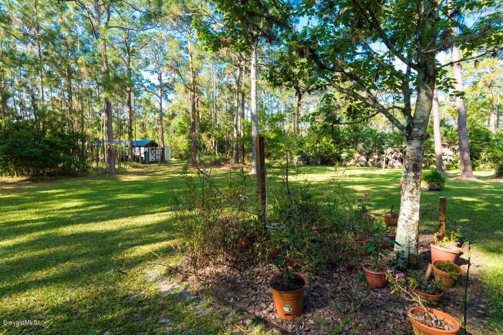 4106 Hield Road Northwest Palm Bay, FL 32907 - Photo 30 of 33 med-28.jpg