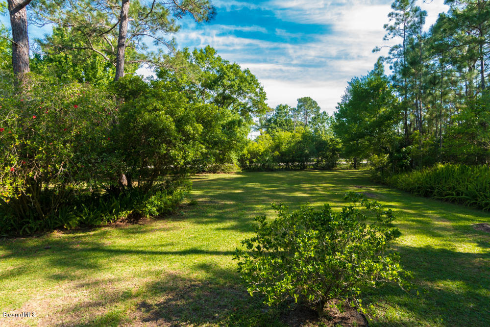4106 Hield Road Northwest Palm Bay, FL 32907 - Photo 31 of 33 med-30.jpg