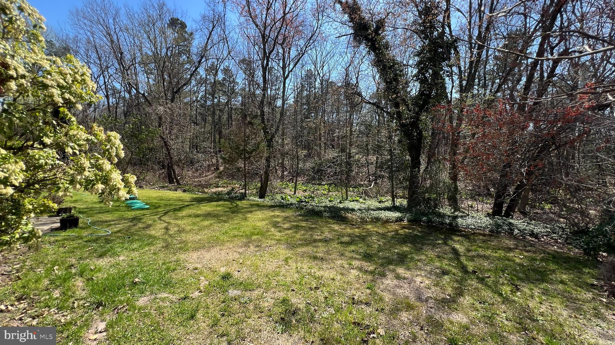 145 New Freedom Road Clementon, NJ 08021 - Photo 28 of 30