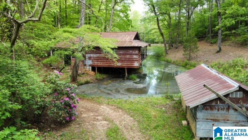 7307 County Road 31 Lineville, AL 36266 - Photo 11 of 30