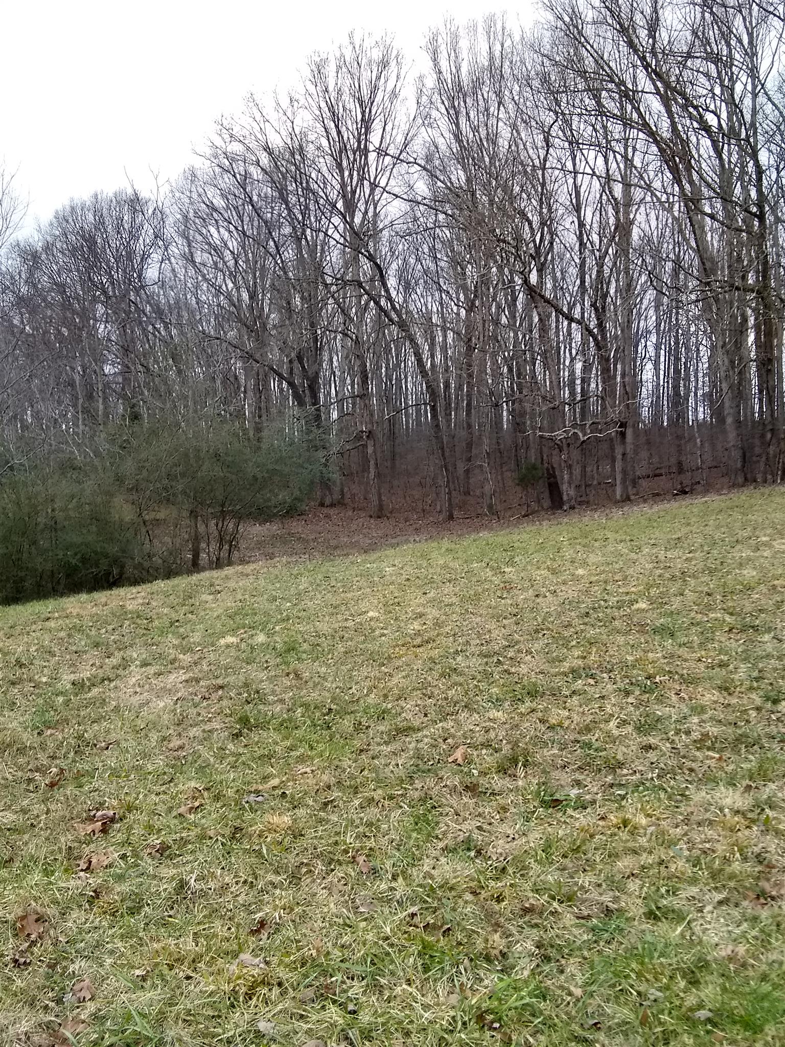 7895 Pinewood Road Fairview, TN 37062 - Photo 11 of 16 Gallery Image 11