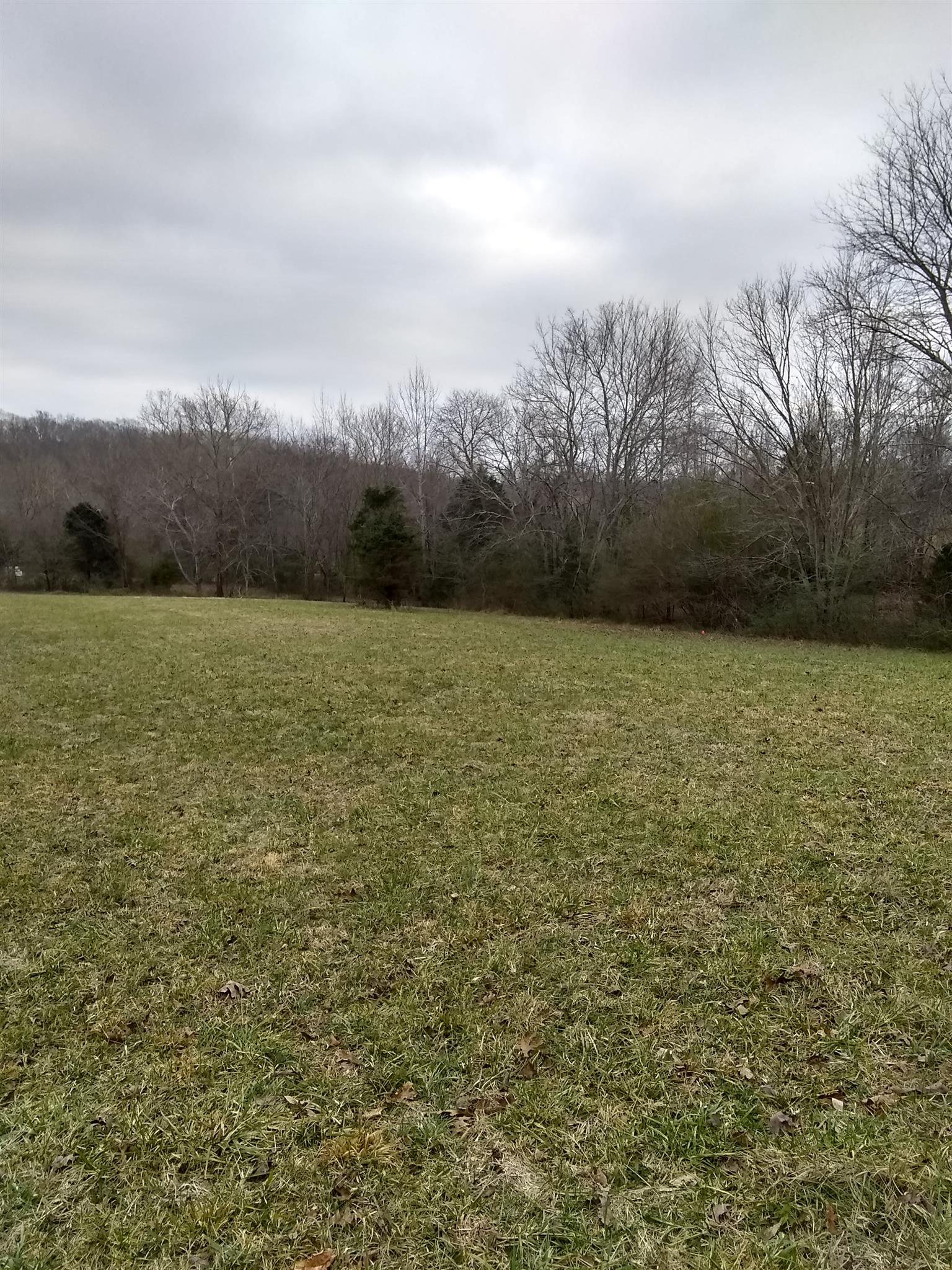 7895 Pinewood Road Fairview, TN 37062 - Photo 12 of 16 Gallery Image 12