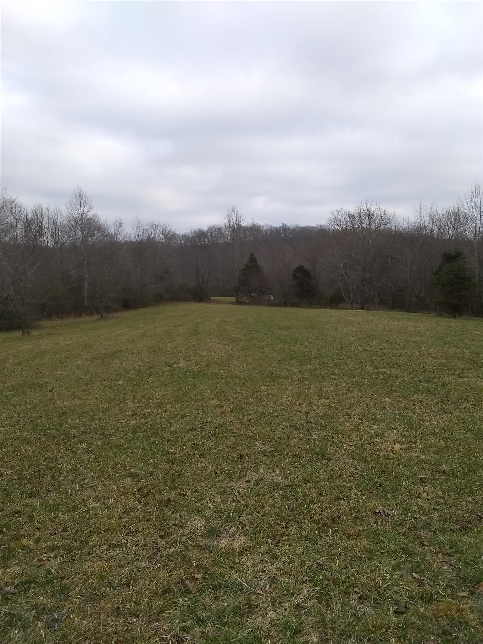 7895 Pinewood Road Fairview, TN 37062 - Photo 13 of 16 Gallery Image 13