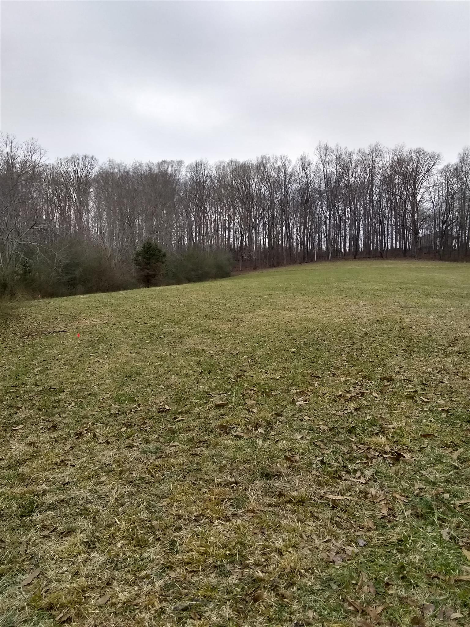 7895 Pinewood Road Fairview, TN 37062 - Photo 15 of 16 Gallery Image 15