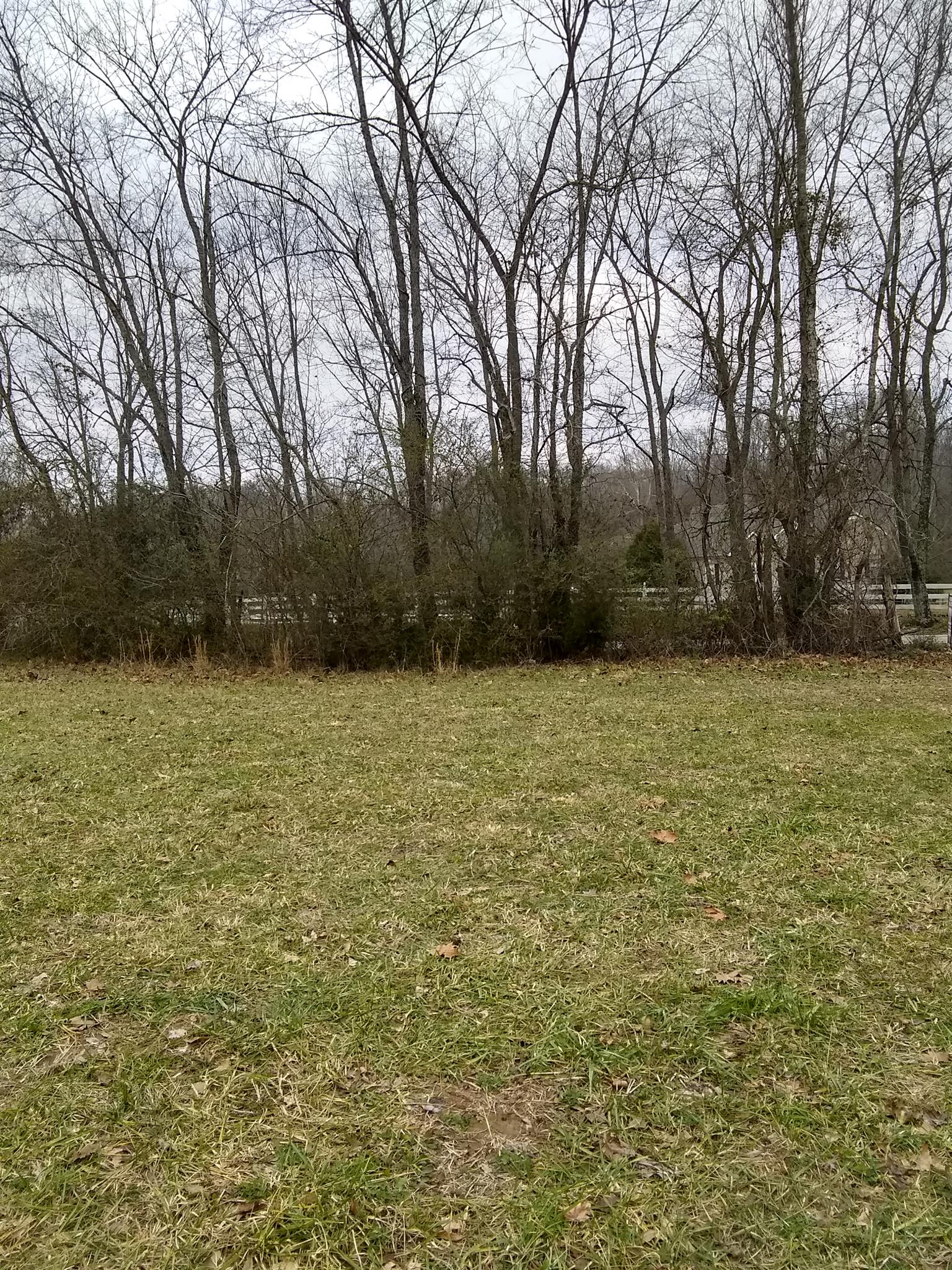7895 Pinewood Road Fairview, TN 37062 - Photo 2 of 16 Gallery Image 2