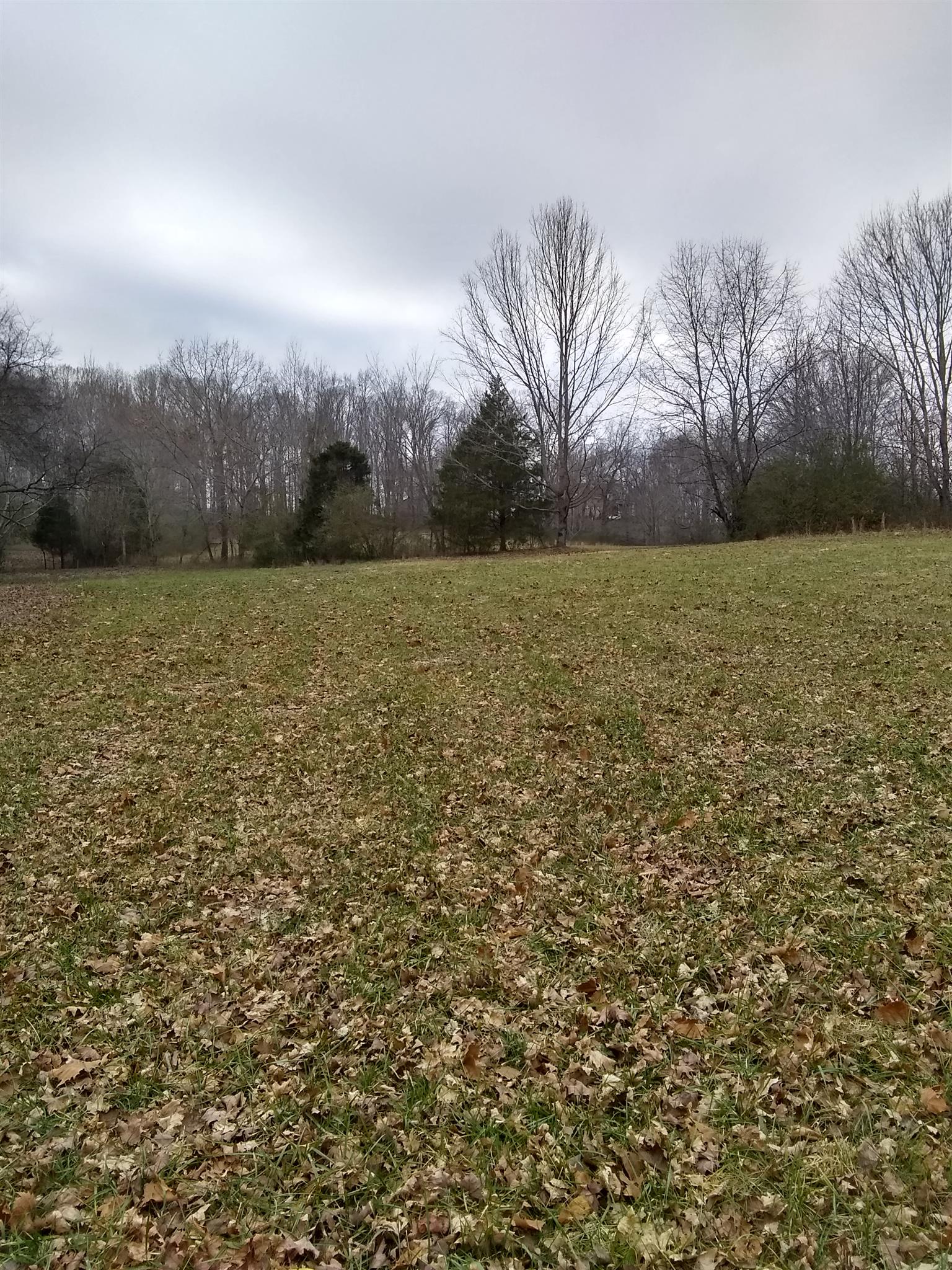 7895 Pinewood Road Fairview, TN 37062 - Photo 3 of 16 Gallery Image 3