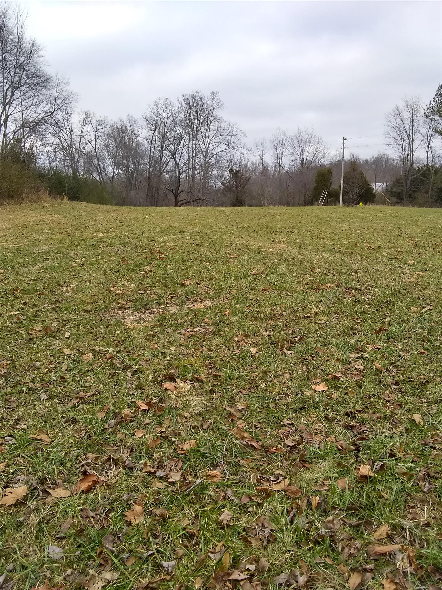 7895 Pinewood Road Fairview, TN 37062 - Photo 4 of 16 Gallery Image 4